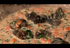Cooking Escargot : Cooking Fresh With Seafood