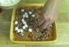 Elba’s Sweet Potato Casserole Recipe