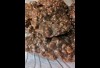 No Bake Cookies Recipe (Chocolate Oatmeal Peanut Butter)