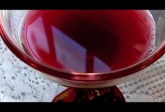 Pomegranate Martini Recipe